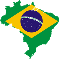 brazil domain name register